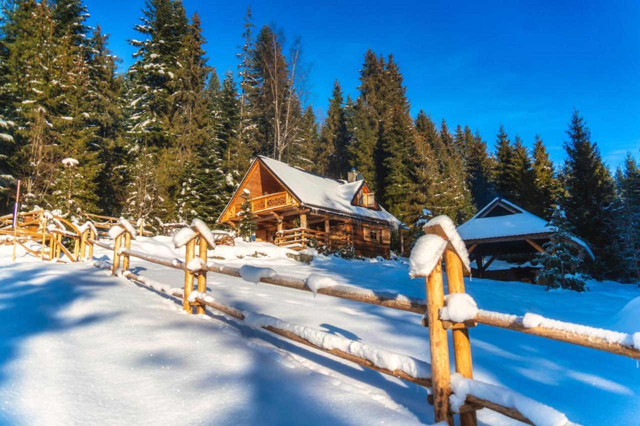 Vila Lesna Bacowka Nowy Targ Exteriér fotografie