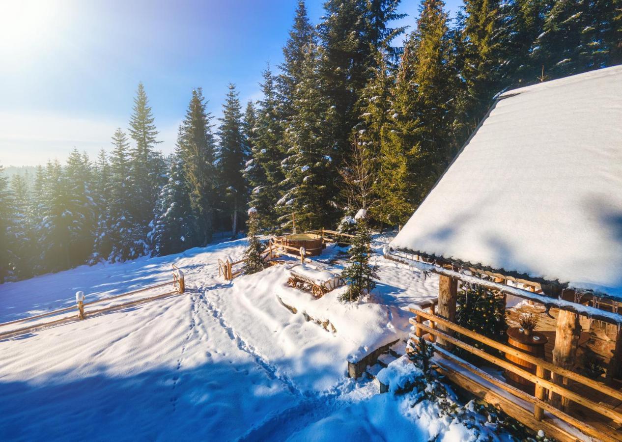 Vila Lesna Bacowka Nowy Targ Exteriér fotografie