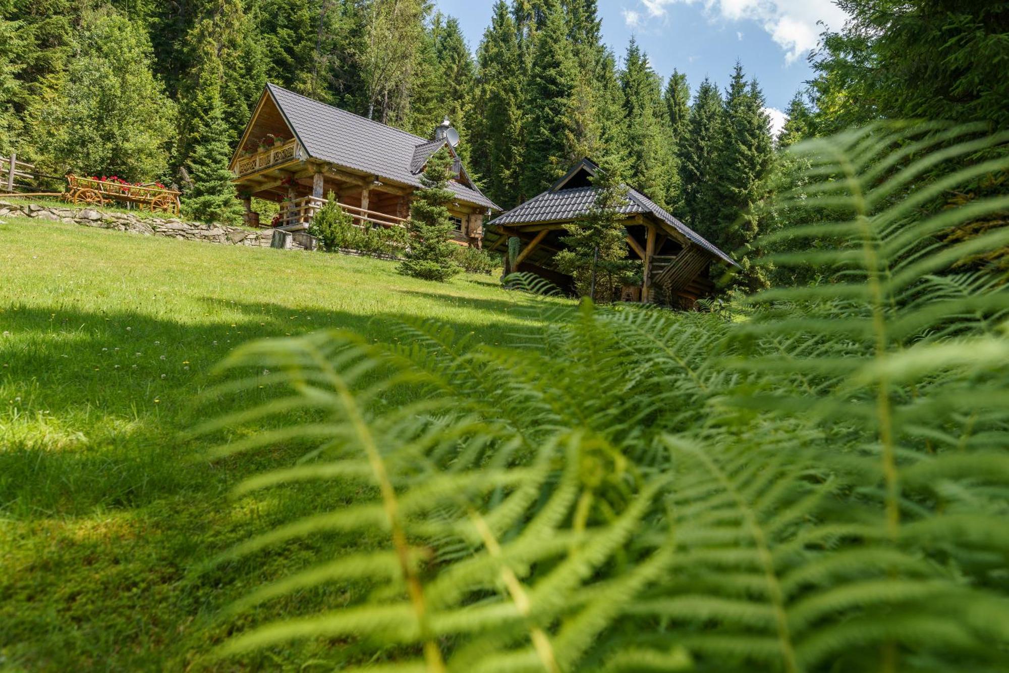 Vila Lesna Bacowka Nowy Targ Exteriér fotografie