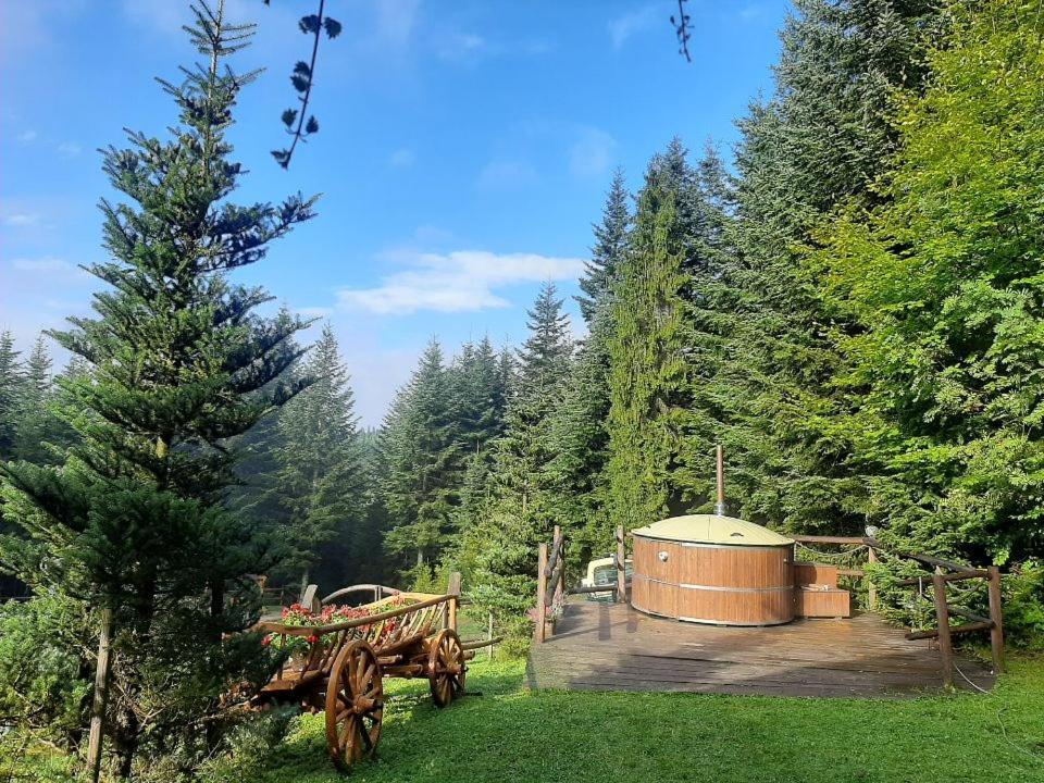 Vila Lesna Bacowka Nowy Targ Exteriér fotografie