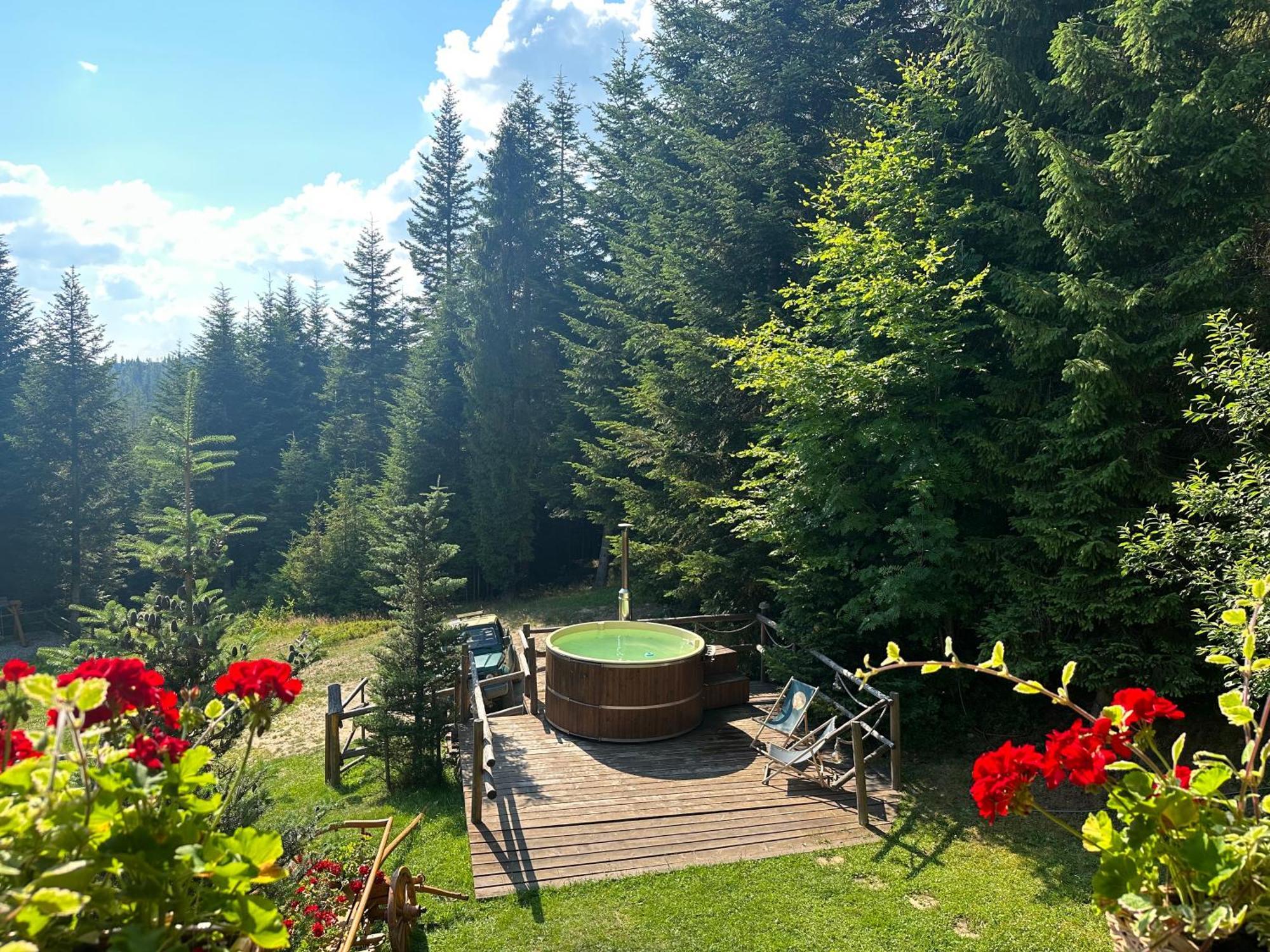 Vila Lesna Bacowka Nowy Targ Exteriér fotografie