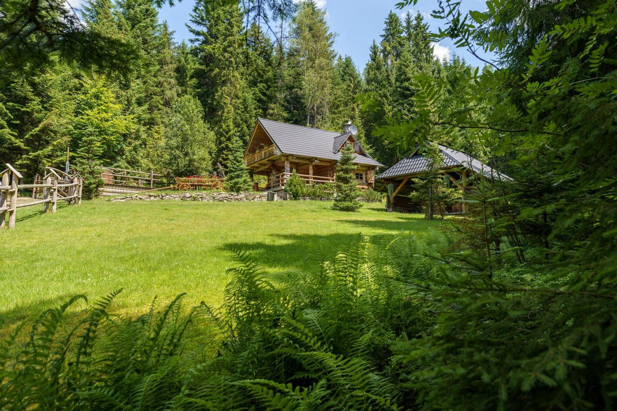 Vila Lesna Bacowka Nowy Targ Exteriér fotografie