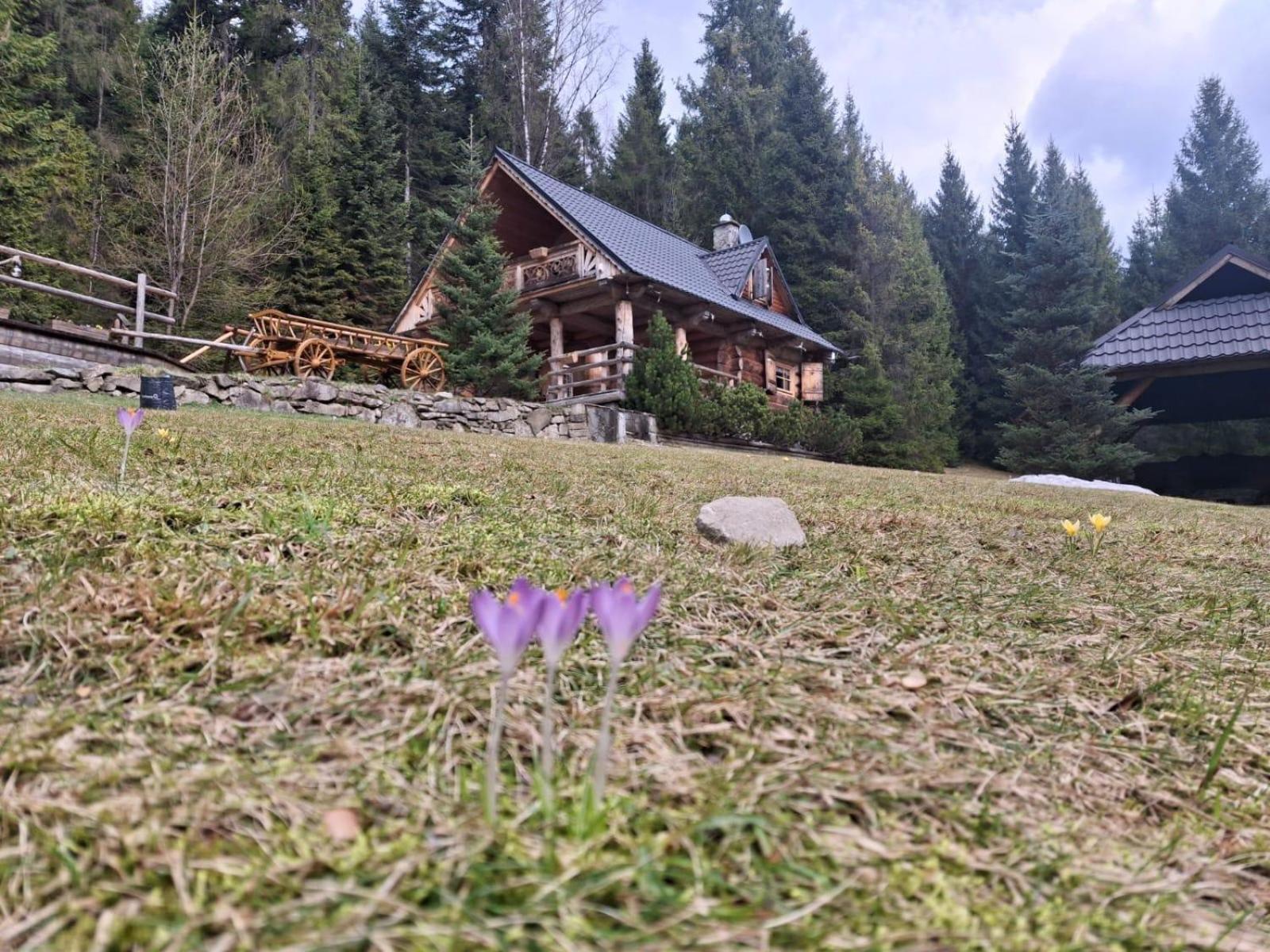 Vila Lesna Bacowka Nowy Targ Exteriér fotografie