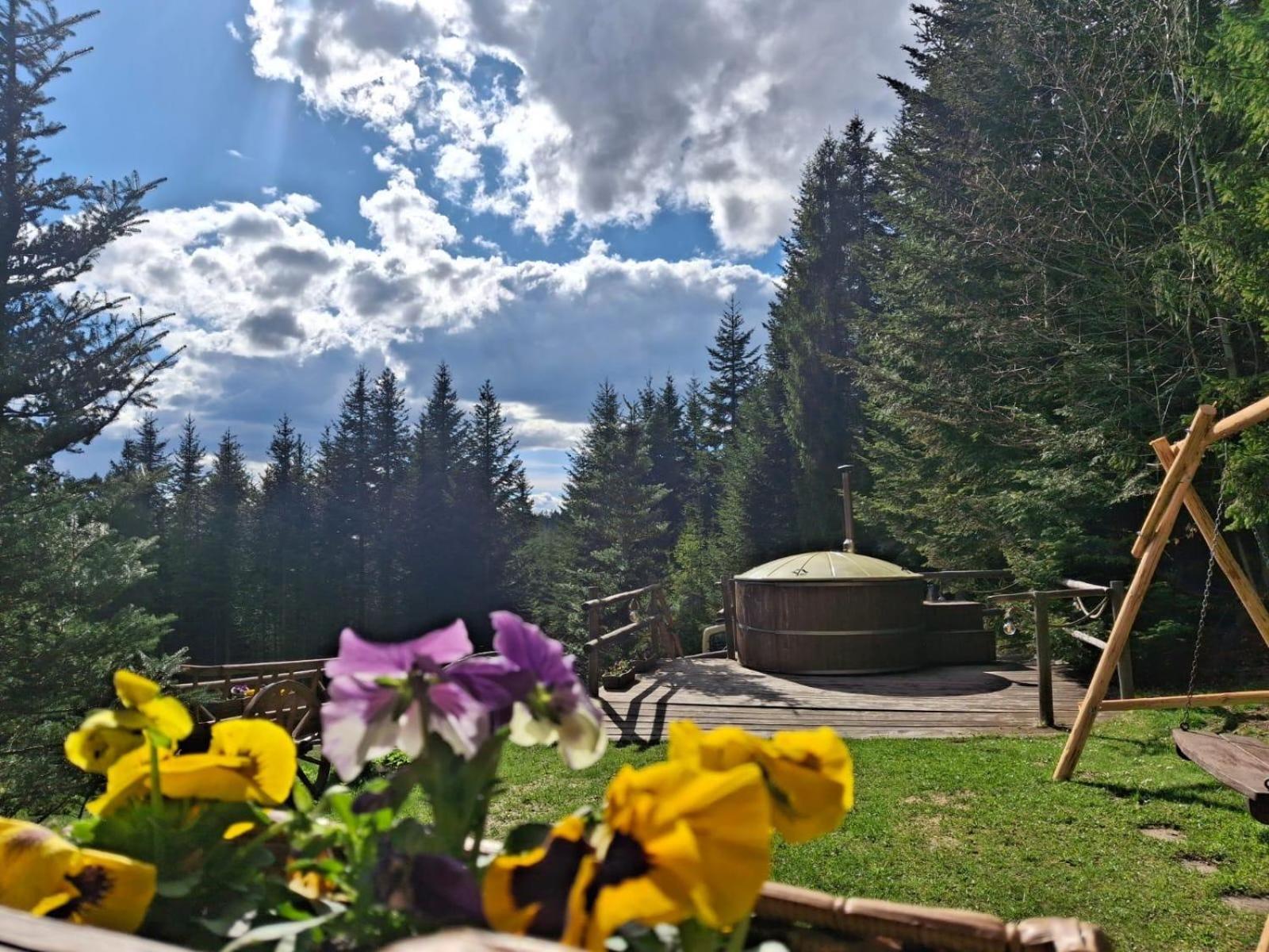 Vila Lesna Bacowka Nowy Targ Exteriér fotografie